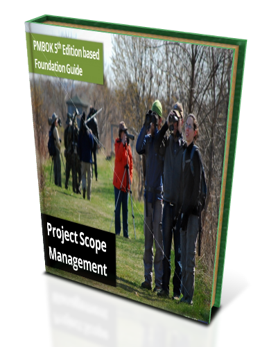 Project Scope Management eBook